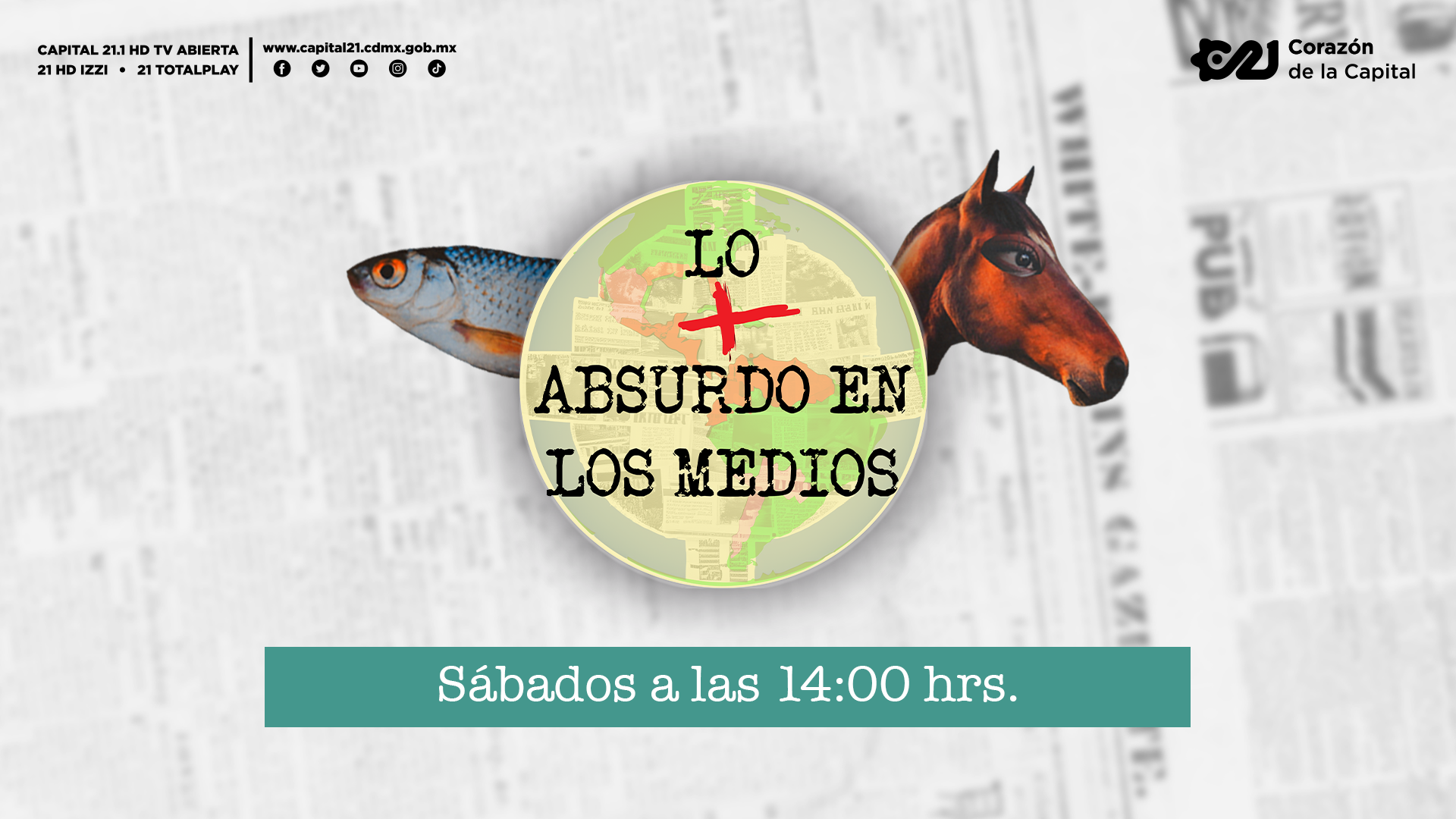 Banner del programa 13